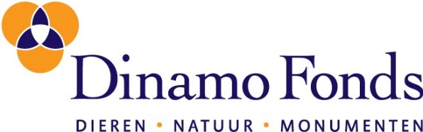 Logo Dinamo Fonds